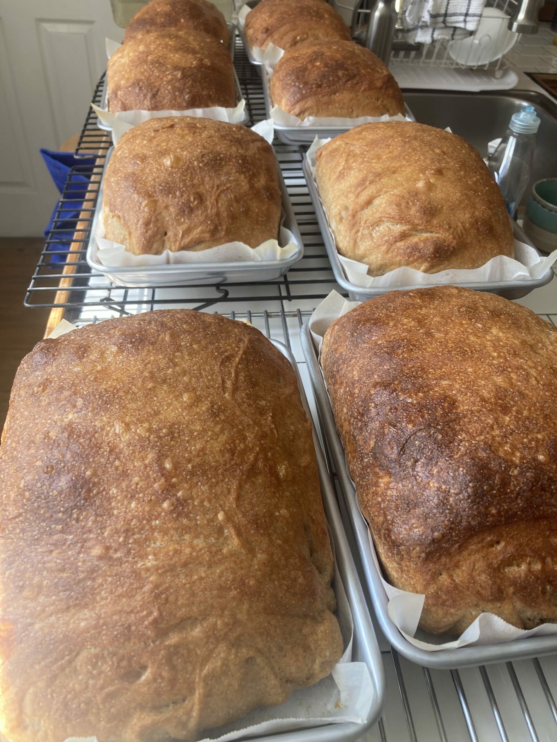 Bread right out of the oven.